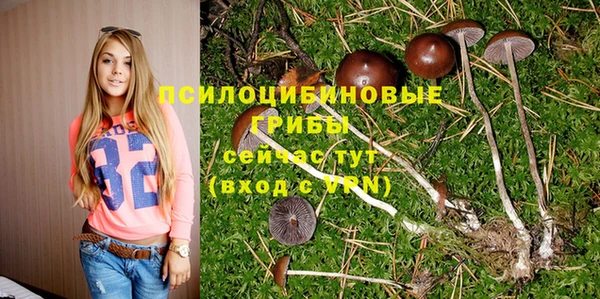 бутират Аркадак